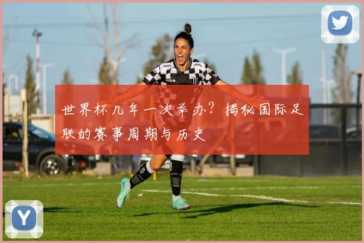 世界杯几年一次举办？揭秘国际足联的赛事周期与历史