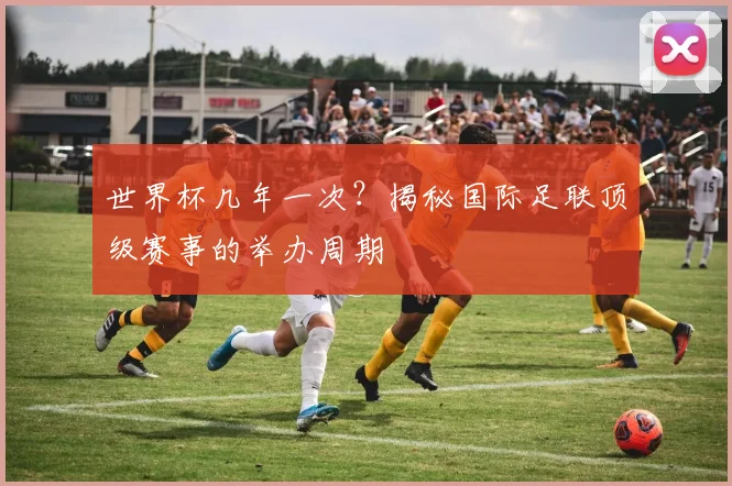 世界杯几年一次?揭秘国际足联顶级赛事的举办周期